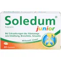 Produktbild: SOLEDUM Kapseln junior 100 mg 20 St PZN 10315957