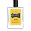 Produktbild: Proraso Wood and Spice hydratisierendes After Shave Balsam 100 ml