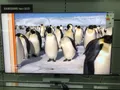 Produktbild: Samsung GQ65QN94DATXZG AI Neo QLED Mini LED TV 5#33961709