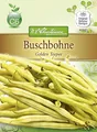 Produktbild: N.L. Chrestensen 4352 Buschbohne Golden Teepee Glucktyp (Buschbohnensamen)