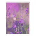 Produktbild: Lichtblick Rollo, Klemmfix, 80x150 cm, Blumenwiese, fuchsia violett - lila