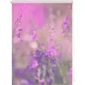 Produktbild: Seitenzugrollo Klemmfix Motiv Blumenwiese, LICHTBLICK ORIGINAL, Lichtschutz, ohne Bohren, freihängend, Klemmfix, bedruckt lila 80 cm x 150 cm
