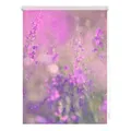 Produktbild: Lichtblick Klemmfix Tageslicht-Rollo mit Motiv, ohne Bohren, Blickdicht, Seitenzugrollo, Made in Germany, Blumenwiese - Fuchsia Violett 80 x 150 cm (B x L)