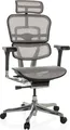 Produktbild: hjh OFFICE Luxus Chefsessel ERGOHUMAN GEN2 Ergonomischer Bürostuhl mit Armlehnen (höhenverstellbar) Netzstoff Drehstuhl für Büro, Zuhause