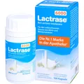 Produktbild: LACTRASE 6.000 FCC Kapseln 100 St PZN09545296
