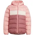 Produktbild: adidas Performance Winterjacke adidas Kinder Steppjacke Synthetic Down Jacket rosa 164 EU