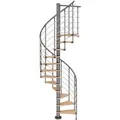 Produktbild: Dolle Spindeltreppe Oslo Ø 120 cm, 11 Stufen Buche GH bis 276 cm Grau FSC®