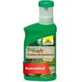 Produktbild: Neudorff BioKraft Vitalkur für Koniferen 300 ml