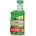 Produktbild: Biokraft Vitalkur Für Koniferen - 300 Ml - Neudorff