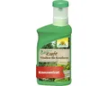 Produktbild: BioKraft Vitalkur für Konifere Neudorff 300 ml organischer Dünger