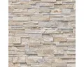 Produktbild: Vliestapete 0236310 Stein beige