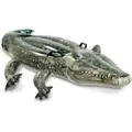 Produktbild: Intex Realistic Gator (57551NP)