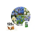 Produktbild: Plant in a Box - Blumenzwiebelmischung - 125 Stk - Allium, Narcissus, Muscari, Tulipa - Blau