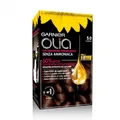 Produktbild: GARNIER OLIA HIGHLIGHTS CAST