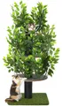Produktbild: Kratzbaum Natur zum Klettern, Verstecken und Schlafen - groß mit austauschbaren Blättern - mehrstufig, einfach zu montieren - haustiersichere Materialien, langlebige und Patentierter robuste Cat Tree