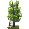 Produktbild: Kratzbaum Natur zum Klettern, Verstecken und Schlafen - Katzenbaum groß mit austauschbaren Blättern - mehrstufig, einfach zu montieren - haustier... - Grün