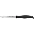 Produktbild: Zwilling Spick- und Garniermesser (10 cm) (38720-100-0)