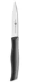 Produktbild: 4009839193927 Zwilling Obst- und Gemüsemesser Twin Grip - 10 cm, Schwarz ZWILLIN