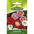 Produktbild: Seidenmohn, Papaver rhoeas, ca. 50 Samen