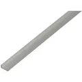 Produktbild: Kantenschutzprofil, Abgeschrägt,alu Silber Elox.,lxbxhxs 1000 X 14 X 10 X 1,5 Mm - Alberts