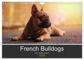 Produktbild: French Bulldog aktiv, verspielt, sportlich (Wandkalender 2026 DIN A4 quer),...
