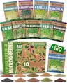 Produktbild: ZenGreens® - Bio Sprossensamen im 10er Set - Keimsprossensamen - für leichte Zucht im Sprossenglas oder Anzuchtschale - Probierpaket - 10 verschiedene Sorten - Microgreens Samen Mix