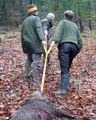 Produktbild: TJS Dreizug Wildbergehilfe bis 250kg Bergehilfe Bergehaken Wildschleppe 2,3t