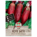 Produktbild: Sperli Rote Bete Forono