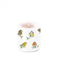 Produktbild: Ambiente Kerze Stumpenkerze Wachswindlicht 9 cm hoch Brenndauer ca 35h Vogelarten Vögel Dekorationskerze Serie bird species