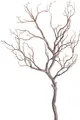 Produktbild: Kunstzweig Deko-Ast Zweig, Botanic-Haus, Höhe 96 cm