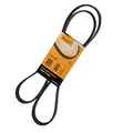 Produktbild: 1x Original CONTITECH Keilrippenriemen