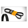 Produktbild: Keilrippenriemen CONTITECH 6PK1580