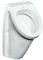 Produktbild: Gustavsberg Urinal 320 x 545 x 340, Zulauf von hinten