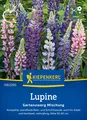 Produktbild: Kiepenkerl Lupinensamen Gartenzwerg Mix, für ca 20 Pflanzen - Schnittblume