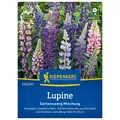 Produktbild: Blumensamen, Lupine 'Gartenzwerg', bunt