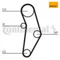Produktbild: Wasserpumpe + Zahnriemensatz CONTINENTAL CTAM CT1049WP1