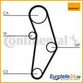 Produktbild: Wasserpumpe + Zahnriemensatz CONTINENTAL CTAM CT1049WP1