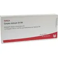 Produktbild: CORPUS LUTEUM GL D 6 Ampullen 10X1 ml