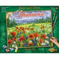 Produktbild: Malen nach Zahlen - Blumenwiese