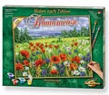 Produktbild: Schipper 609130824 - Malen nach Zahlen - Blumenwiese - Neu