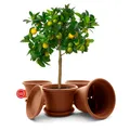 Produktbild: 4 Stück Blumentopf mit Untersetzer Pflanzkübel rund ø 35cm Terracotta Made in EU