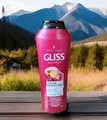 Produktbild: Schwarzkopf GLISS Schützt das Haar FARB PERFEKTION FARBE STRAHLENDES 250ml