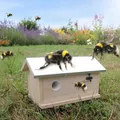 Produktbild: Hummel Hummelhaus Hummelkasten Nistkasten Insektenhaus Haus Insektenhotel XXL