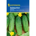Produktbild: Kiepenkerl 370 Salatgurke Delikatess (Salatgurkensamen)