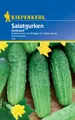 Produktbild: Salatgurke Delikateß | knackig | Salat & Einlegen | Saatgut für Garten