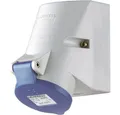 Produktbild: Mennekes Steckdose MENNEKES TwinCONTACT 1720 CEE Wandsteckdose 16 A 3polig 230 V 1 St.