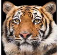 Produktbild: Ambiente Luxury Paper Products Papierserviette 20 Servietten Bengal Tiger 33x33cm, (20 St)