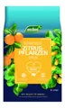 Produktbild: Westland Zitrus Erde torffrei 8 L