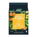 Produktbild: Westland Zitruspflanzen Erde, 8 l – Erde mit Tongranulat für gesunde Zitronenpflanzen, Zitruserde zur optimalen Wasser- und Nährstoffversorgung