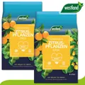 Produktbild: Westland 2 x8 l Torffreie Zitruserde Erde Garten Zitrone Orange Wachstum Seramis